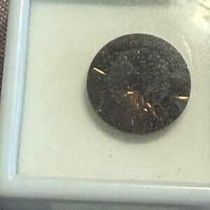 Round Smokey Quartz 9.75